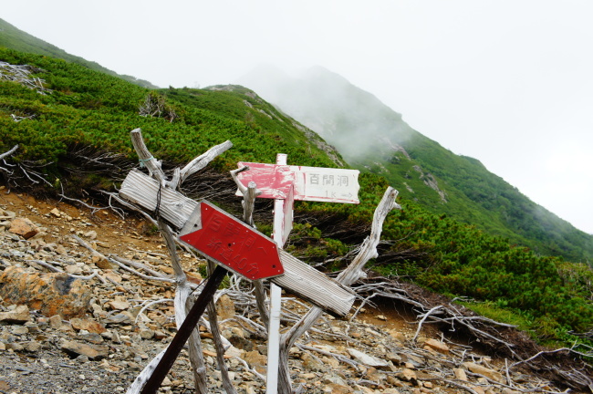 b0291820_11385835.jpg