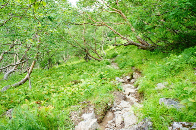 b0291820_12030089.jpg