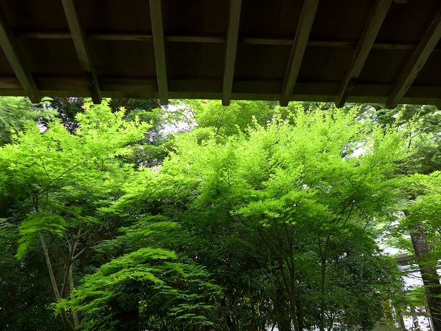 e0303726_19062217.jpg