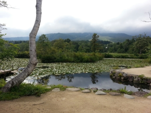 f0009028_19012982.jpg