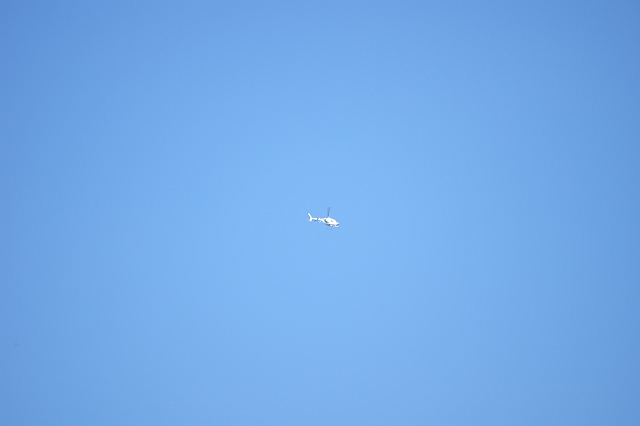c0243343_20403721.jpg
