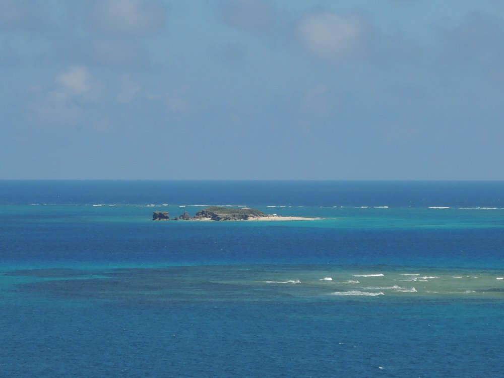 d0142944_23363732.jpg