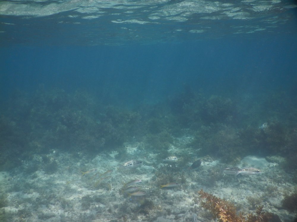 d0142944_23543227.jpg