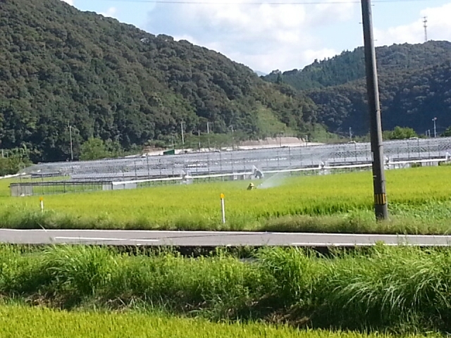 c0330749_16513708.jpg
