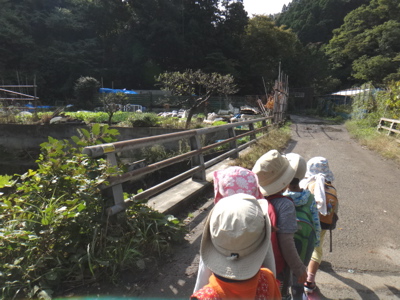 10月5週 どんぐりのおたのしみ_e0256851_2362754.jpg