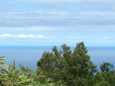 塩谷丸山から海~! 24/08/\'15_e0326953_021398.jpg
