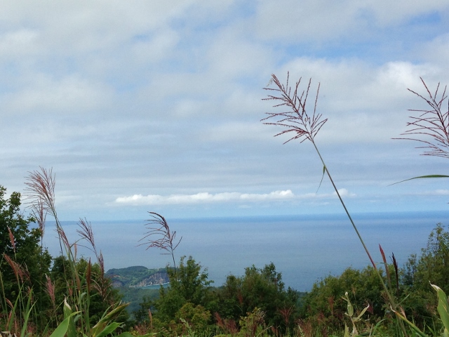 塩谷丸山から海~! 24/08/\'15_e0326953_0512522.jpg