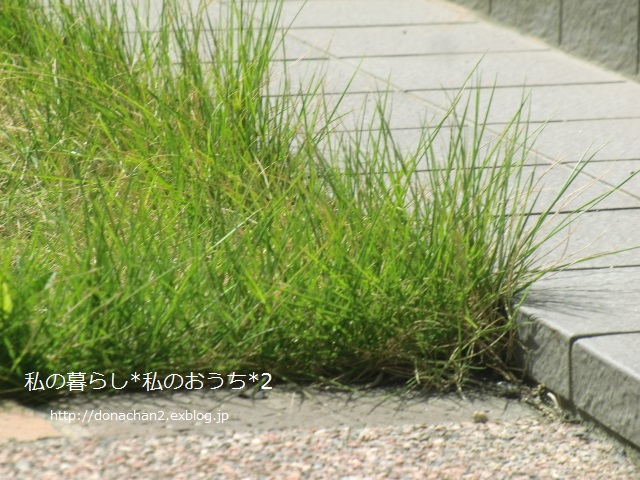 e0354456_922293.jpg