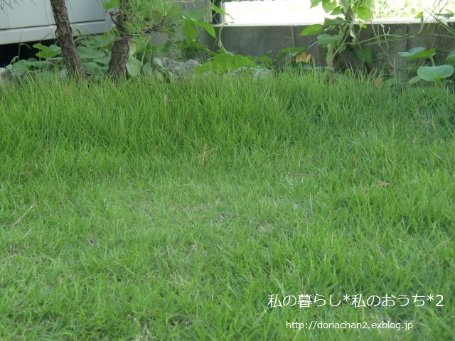 e0354456_942925.jpg