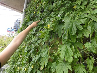 c0204368_16111462.jpg
