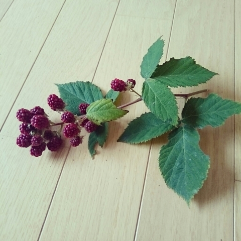 c0311170_08503957.jpg