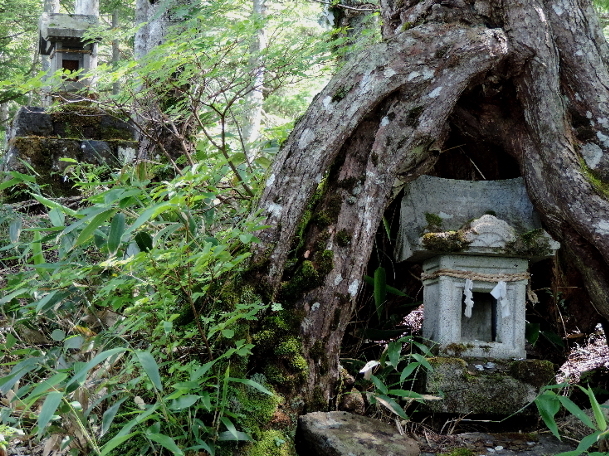 山行記録・志賀高原：池巡り_f0049074_04311820.jpg