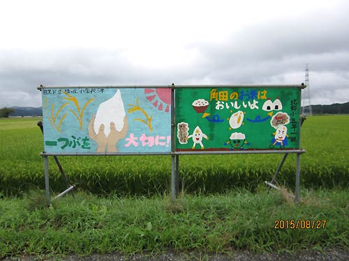8月27日の田んぼ(緑ヶ丘小・北郷小)_d0247484_1716362.jpg