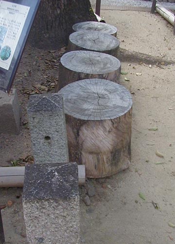●神社の造形―齋宮神社_d0053294_21355021.jpg