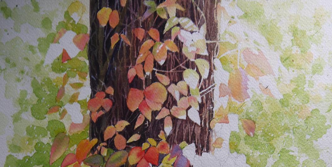 今回出来上がった紅葉の蔦の部分の絵です 小林啓子水彩画の部屋