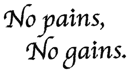 No pains, No gains.ロゴ_c0189207_12453477.jpg