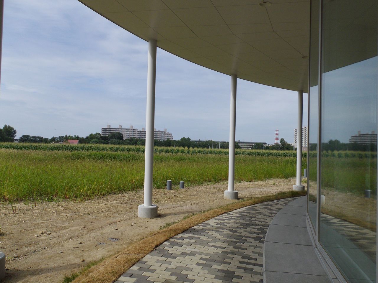秋の始まりを感じる今日このごろ_c0025115_1972967.jpg