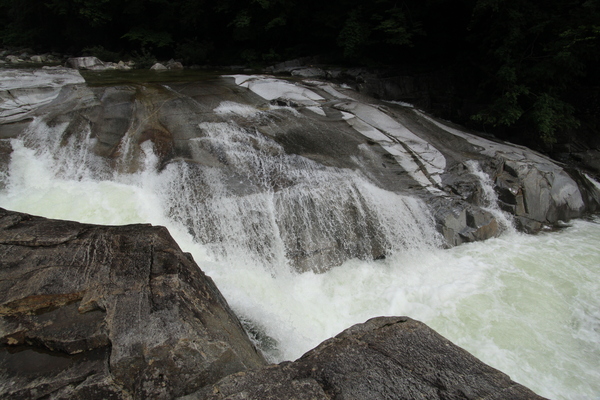 e0242721_91899.jpg