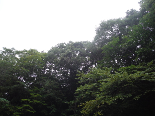 K川 リベンジ釣行 その1_c0149633_15201615.jpg