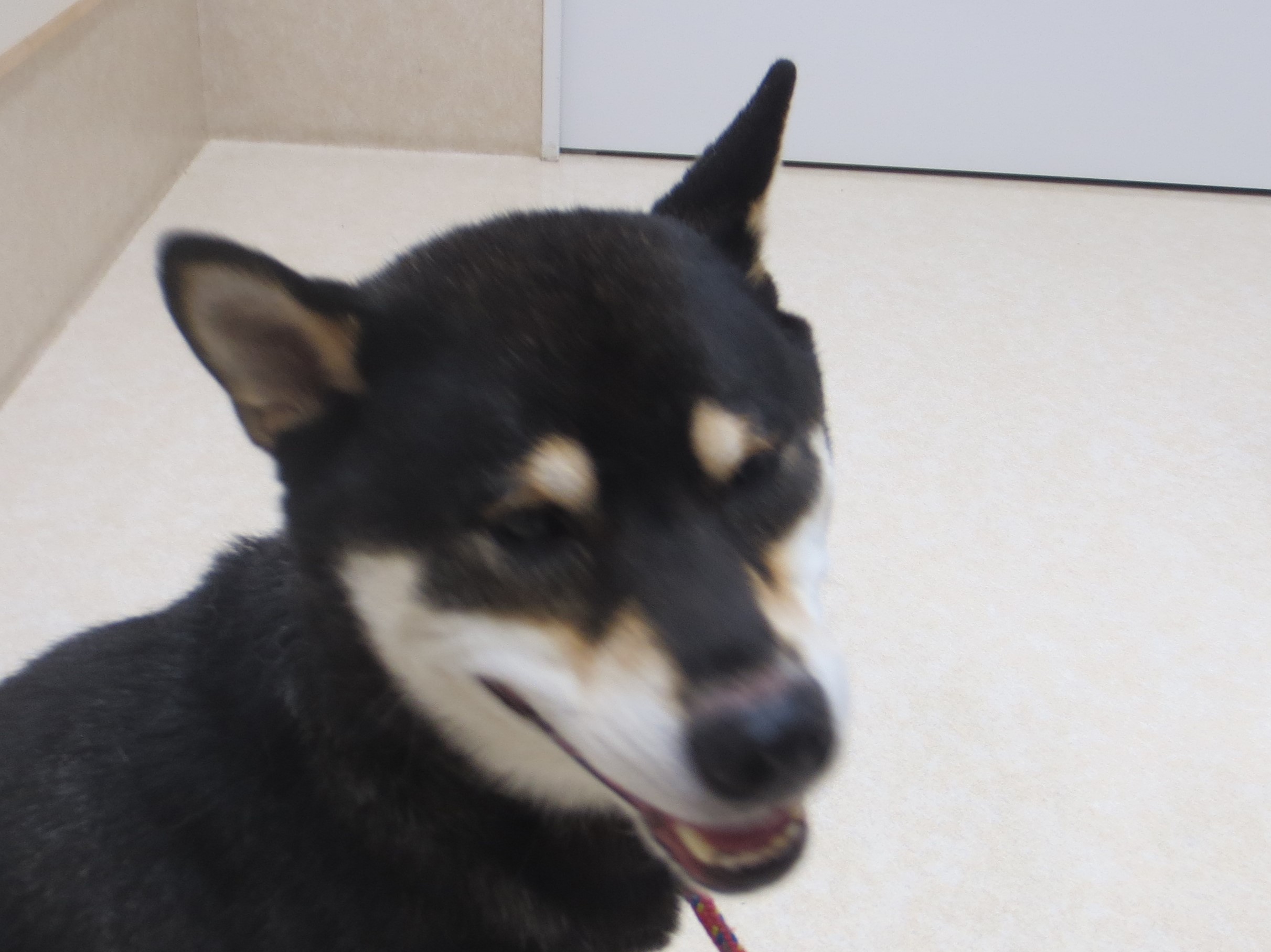 c0174644_20105490.jpg