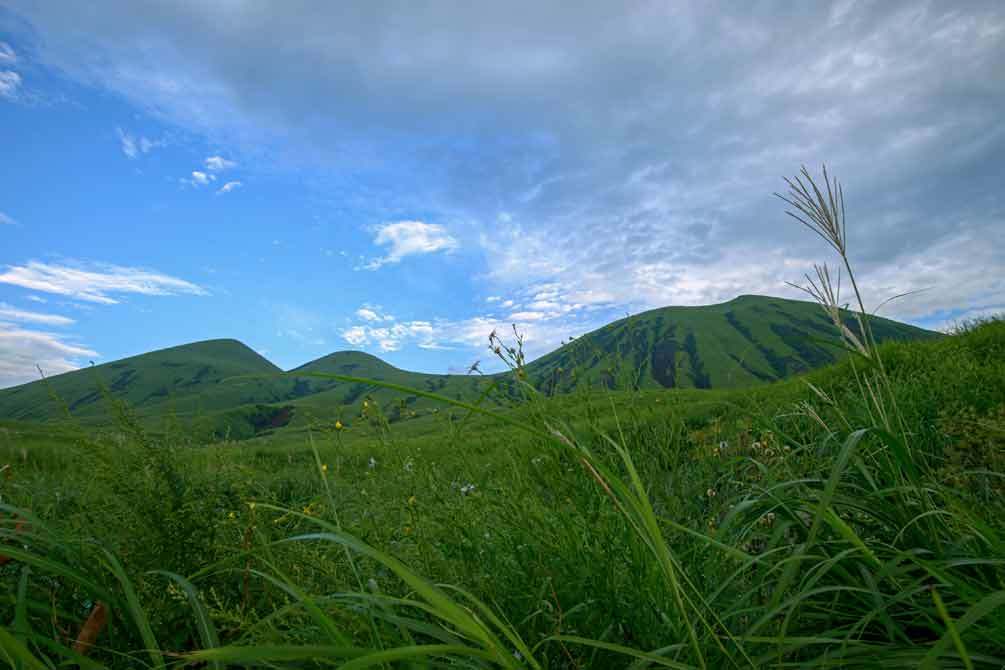 d0238245_01401807.jpg