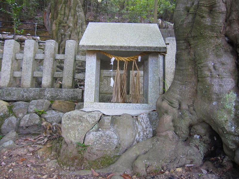 e0237645_149764.jpg