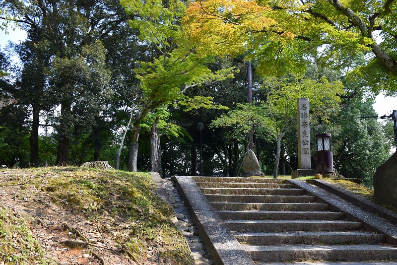 鹿も暑がる真夏の「奈良公園」20150818_e0237645_17491686.jpg