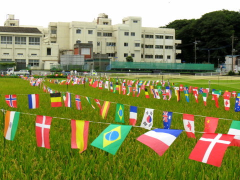 田んぼの万国旗とはじけゴーヤ_b0154148_19595269.jpg