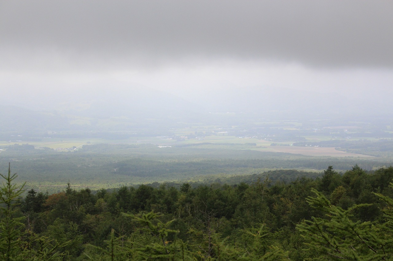 ８月２３日　駒ケ岳登山口　３_b0250154_07263795.jpg