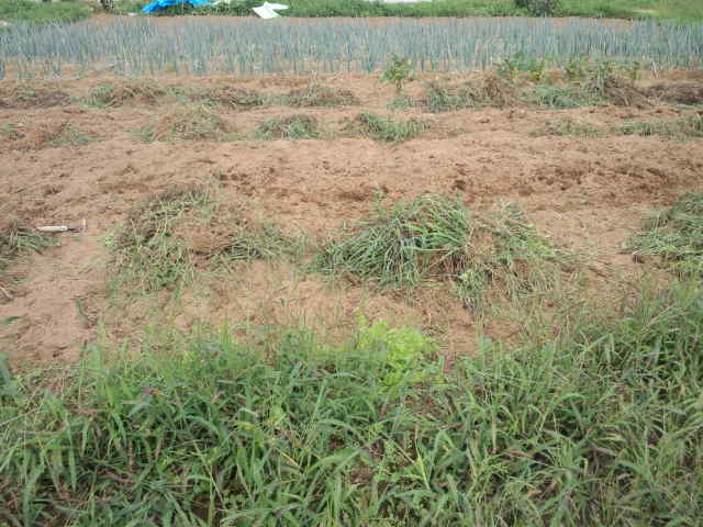 c0117062_21541624.jpg