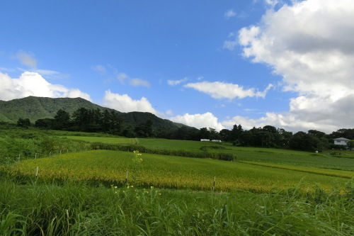 蒜山高原 サイクリング_b0332867_21575465.jpg