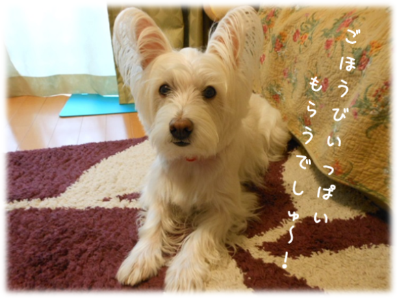 b0242873_00292380.png