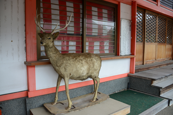 加賀温泉駅から見える巨大観音!ユートピア加賀の郷(観音院加賀寺)_e0171573_2193776.jpg