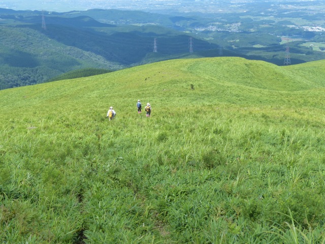 一の峰、二の峰など花ウオッチング_f0357487_12165534.jpg