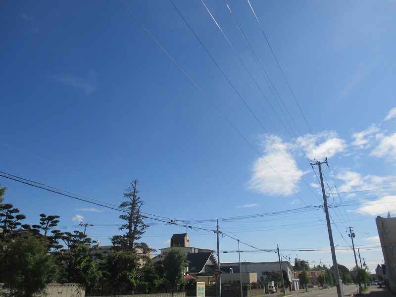 f0202703_0114239.jpg
