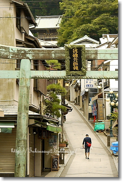 静かな時間の江ノ島から。_f0356904_22411182.jpg