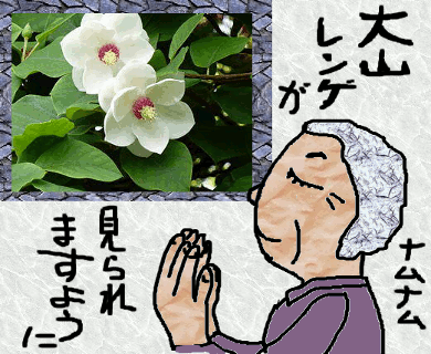 f0161708_0384585.gif
