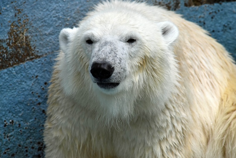 a0151913_3242111.jpg
