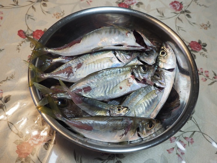 夫の釣果_c0116915_23574523.jpg