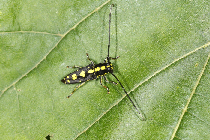 e0337826_21103353.jpg