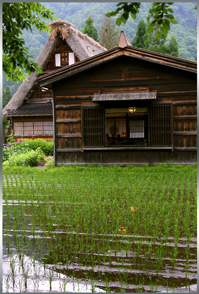 北陸３県の旅７_d0123528_17180537.jpg