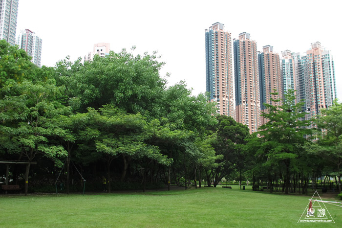 459 Nam Cheong Park ~香港初の本気鳥撮り~_c0211532_22575780.jpg