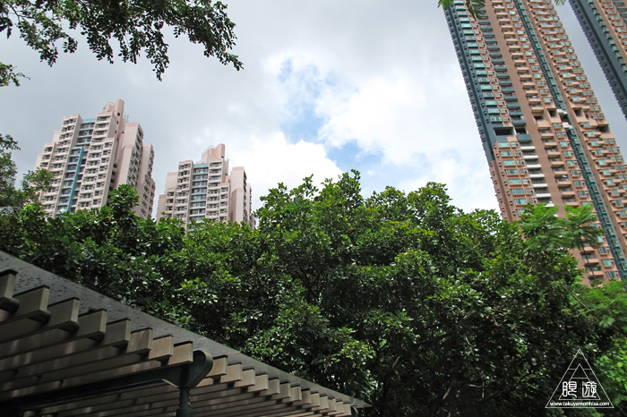 459 Nam Cheong Park ~香港初の本気鳥撮り~_c0211532_23332094.jpg