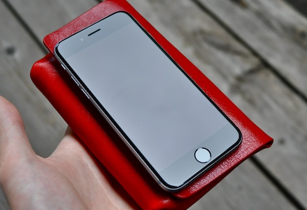 red pouch_b0172633_1316493.jpg
