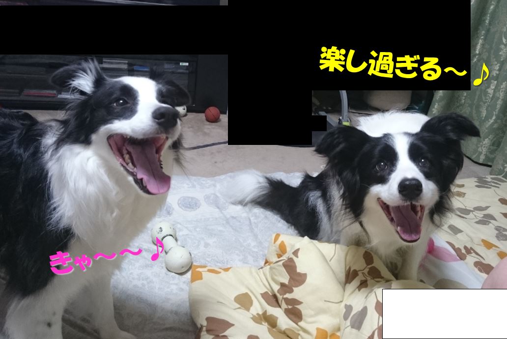 c0147241_13373933.jpg
