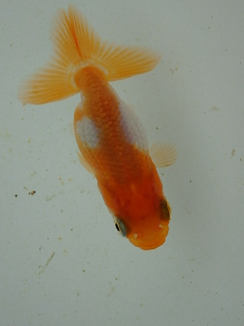f0334143_9101569.jpg