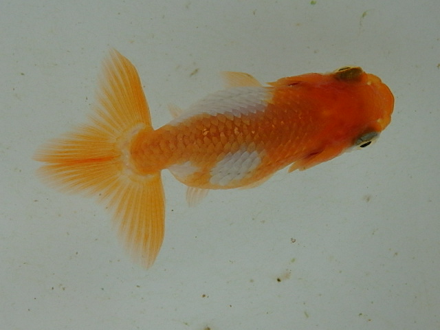 f0334143_9103394.jpg
