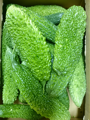 a0274944_08082890.jpg