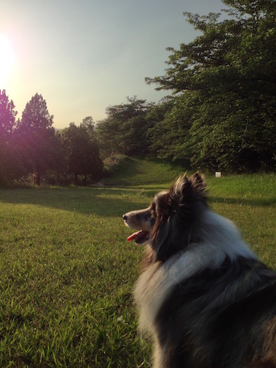 遠くの公園にて_c0227245_149588.jpg