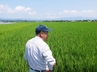 砂田米 今年も順調にお米の花が咲きました!_a0254656_18522352.jpg